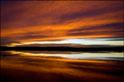 Bosque del Apache 2013